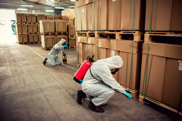 Best Mosquito Control Services  in Granby, CO