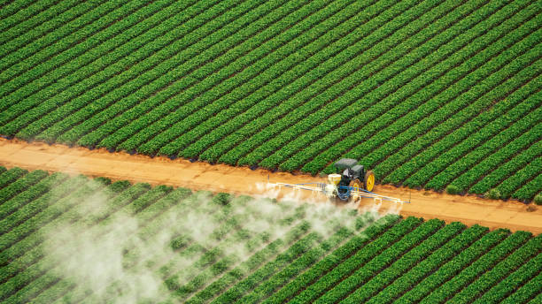 Best Pest Control for Businesses  in Granby, CO