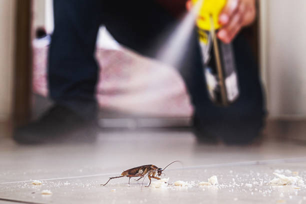 Best Pest Prevention Services  in Granby, CO